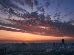 九游体育下载-提莫和成都蓉城完成续约